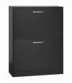 Shoe Cabinet Storage Cupboard 2-Tier Wood 12 Pairs Black
