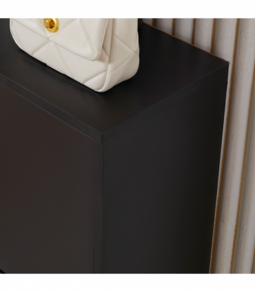 Shoe Cabinet Storage Cupboard 2-Tier Wood 12 Pairs Black