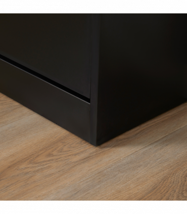 Shoe Cabinet Storage Cupboard 2-Tier Wood 12 Pairs Black