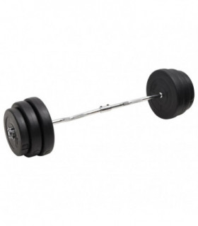 vidaXL Curl Barbell with Plates 90 kg