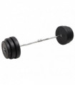vidaXL Curl Barbell with Plates 90 kg
