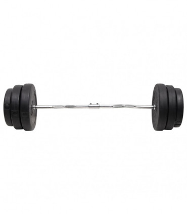 vidaXL Curl Barbell with Plates 90 kg
