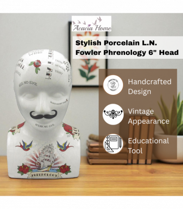 6" PHRENOLOGY HEAD