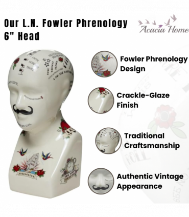 6" PHRENOLOGY HEAD