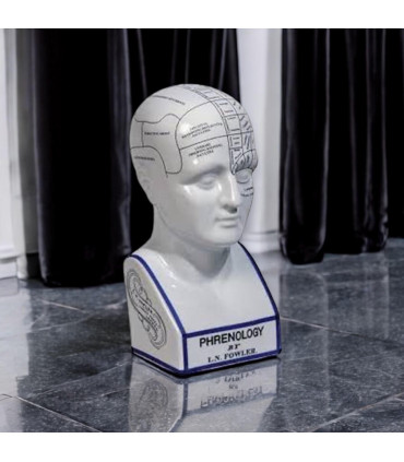 16" PHRENOLOGY HEAD Home Decor