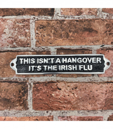 25CM ALUMINIUM THIS ISNT A HANGOVER SIGN