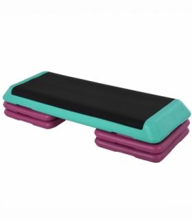 10/15/20cm Aerobic Steppers Compact Stepper for Indoor Exercise Workout HOMCOM