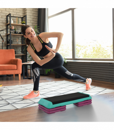 10/15/20cm Aerobic Steppers Compact Stepper for Indoor Exercise Workout HOMCOM