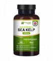 Sea Kelp 2000mg 200 Vegan Tablets | Natural Source of Iodine | Premium Ingredients | Proudly made in the UK by Prowise