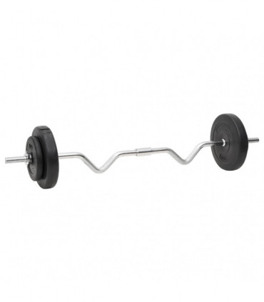 vidaXL Barbell and Dumbbell Plates 60 kg