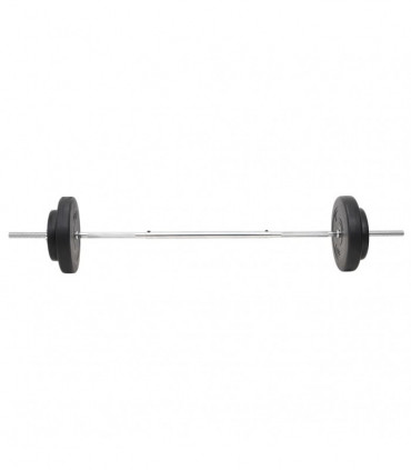 vidaXL Barbell and Dumbbell Plates 60 kg