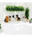 24CM STANDING DOGS-6 ASST COLOUR