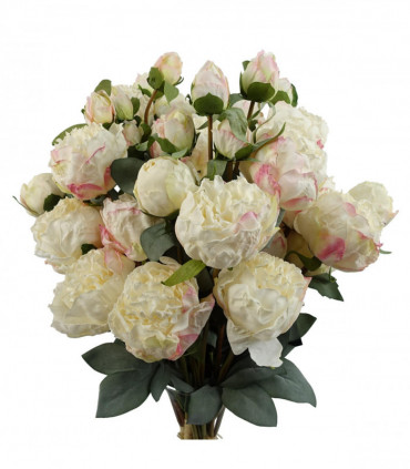 Cream Peony Artificial Flower Stems