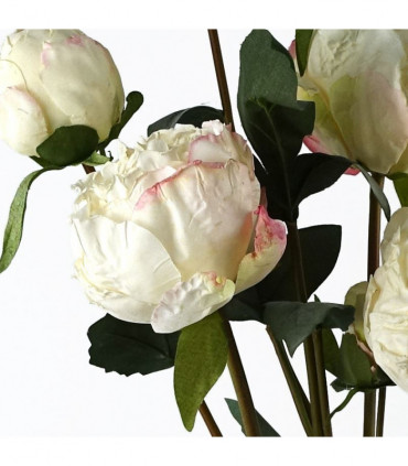 Cream Peony Artificial Flower Stems