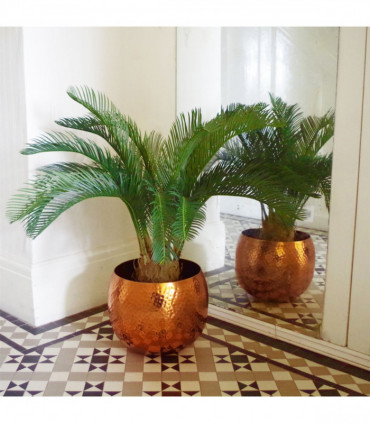 Artificial Tropical Cycas Palm Plant 80cm Green Fronded Leaves Realistic Trunk