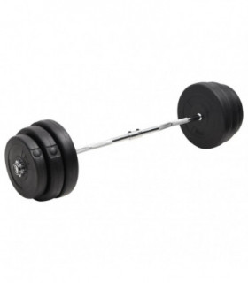 Curl Barbell with Plates 90 kg