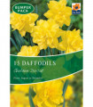 Daffodil 'Golden Ducat' (15 Bulbs)