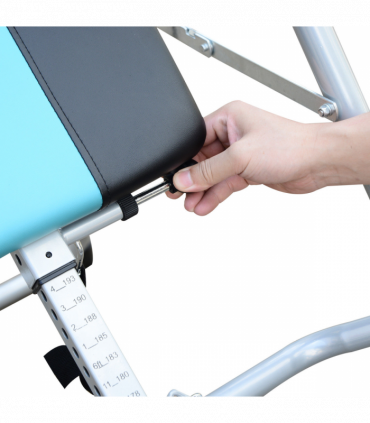 Foldable Therapy Gravity Inversion Table AB Exercise Bench Home Fitness HOMCOM