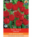 Tulip 'Crystal Beauty' (6 Bulbs)