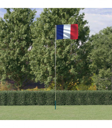 vidaXL France Flag and Pole 5.55 m Aluminium