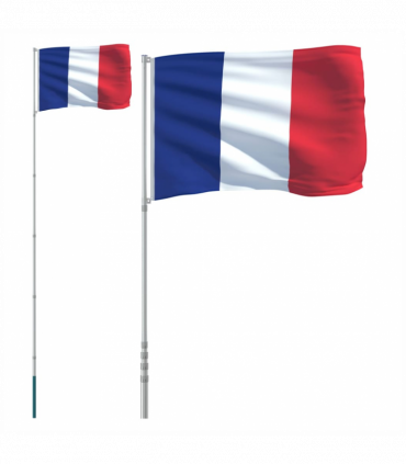 vidaXL France Flag and Pole 5.55 m Aluminium