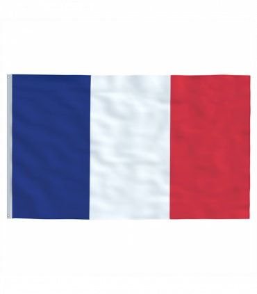 vidaXL France Flag and Pole 5.55 m Aluminium