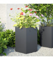 vidaXL Garden Planter 2 pcs Anthracite Hexagon 46x40x45 cm Steel