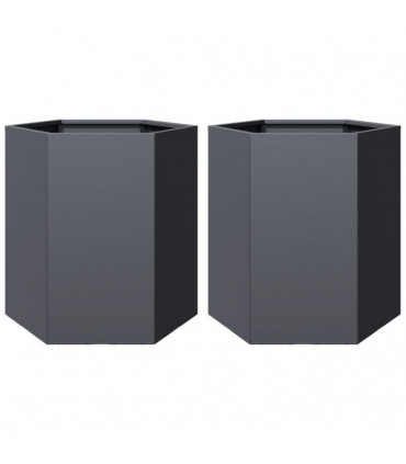 vidaXL Garden Planter 2 pcs Anthracite Hexagon 46x40x45 cm Steel