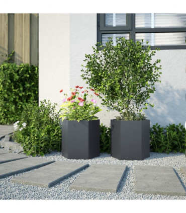 vidaXL Garden Planter 2 pcs Anthracite Hexagon 46x40x45 cm Steel