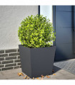 vidaXL Garden Planter Anthracite 50x50x50 cm Steel