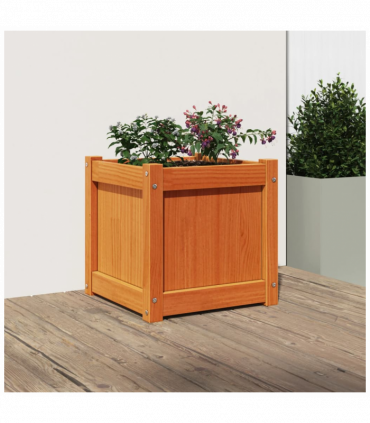 vidaXL Garden Planter Wax Brown 40x40x40 cm Solid Wood Pine