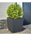 vidaXL Garden Planters Anthracite 2 pcs 50x50x50 cm Steel