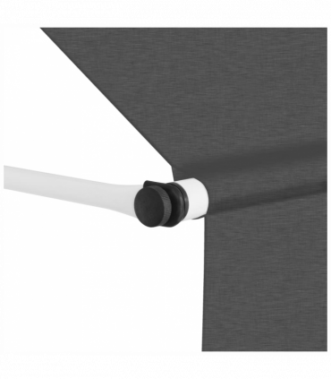 vidaXL Manual Retractable Awning 400 cm Anthracite