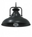 vidaXL Pendant Lamp E27 Black Ø 31 cm Iron