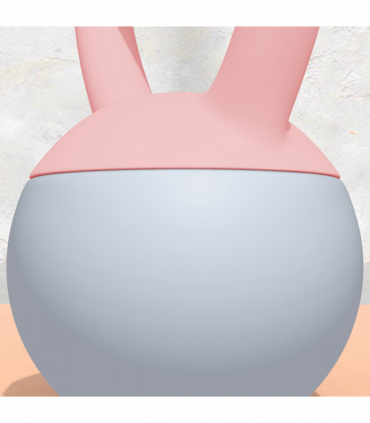 Kettlebell