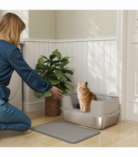 Cat Litter Box