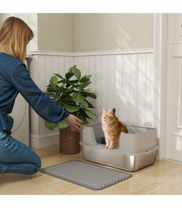 Cat Litter Box