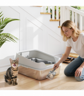 Cat Litter Box