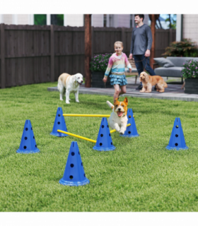 Dog Agility Equipment Set of Eight Cones