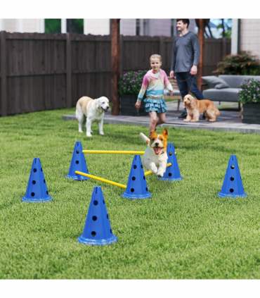 Dog Agility Equipment Set of Eight Cones