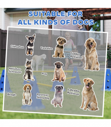 Dog Agility Equipment Set of Eight Cones