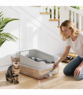 Cat Litter Box
