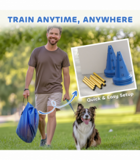 Dog Agility Equipment Set of Eight Cones
