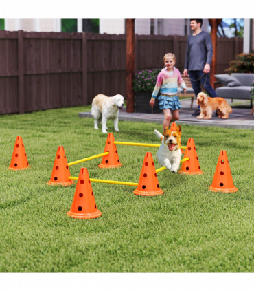 Dog Agility Equipment Set of Eight Cones