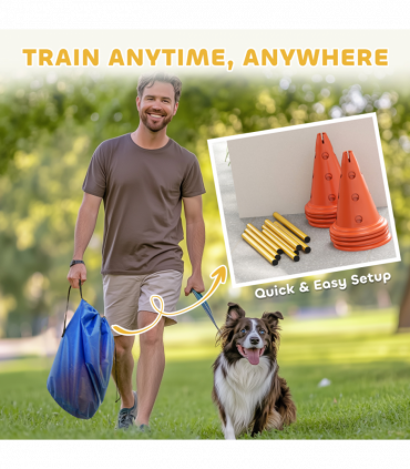 Dog Agility Equipment Set of Eight Cones