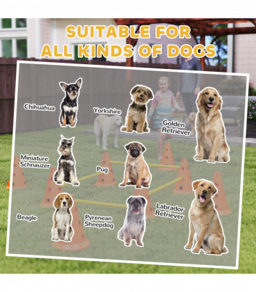 Dog Agility Equipment Set of Eight Cones