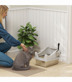Cat Litter Box