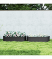 Garden Bed