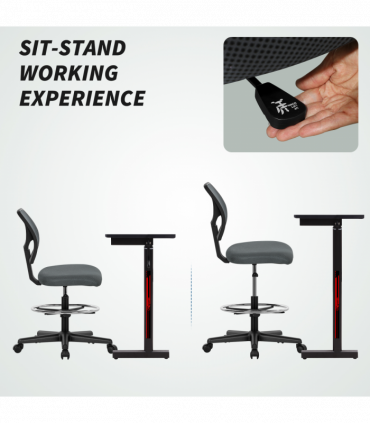 Riser Recliner Chair