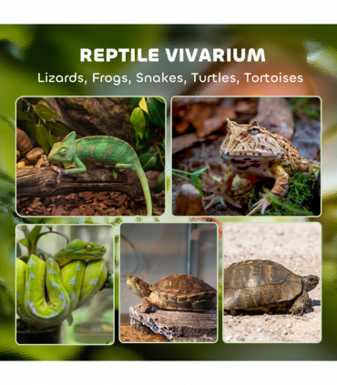 Turtle Cage/ Tortoise House